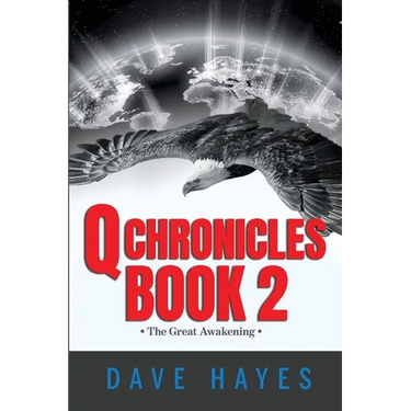 Q Chronicles Book 2