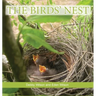 The Birds' Nest