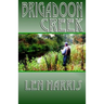 Brigadoon Creek