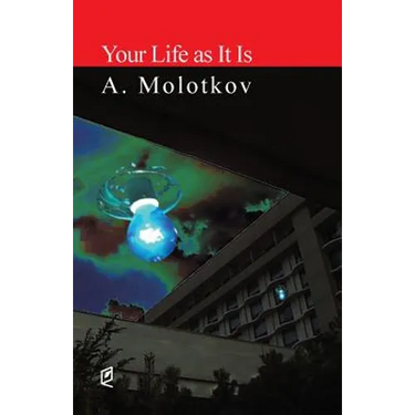 Your Life as It Is