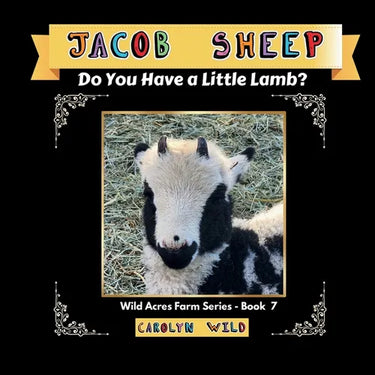 Jacob Sheep: Do You Have A Little Lamb?