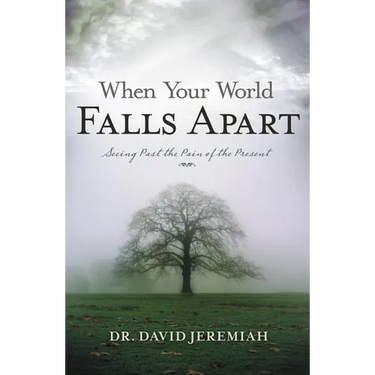 When Your World Falls Apart: See Past the Pain of the Present
