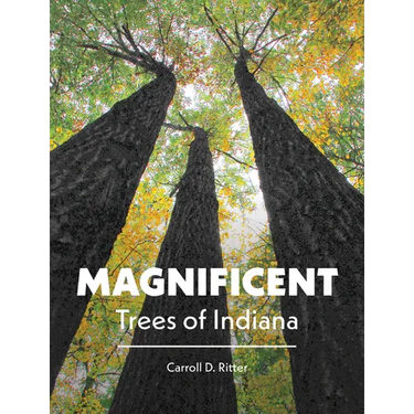 Magnificent Trees of Indiana