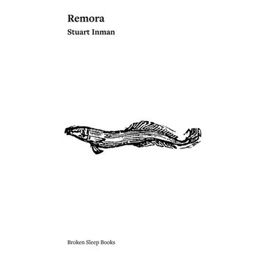 Remora