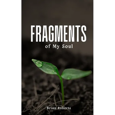 Fragments of My Soul