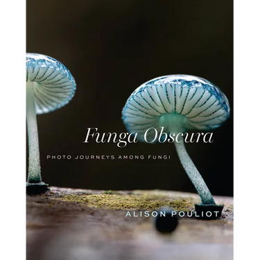 Funga Obscura: Photo Journeys Among Fungi