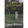 Strange Williamsburg Hill