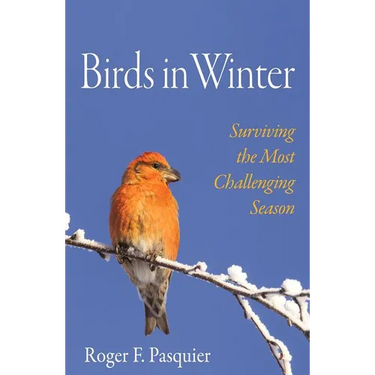Birds in Winter: Surviving the Most Challenging Season