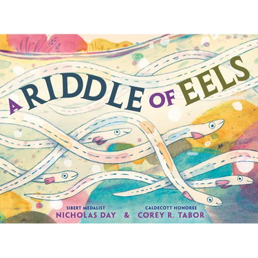A Riddle of Eels