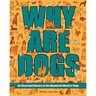 Why Are Dogs: An Illustrated History of the Wonderful World of Dogs