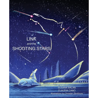 Link and the Shooting Stars