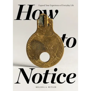 How to Notice: Expand Your Experience of Everyday Life