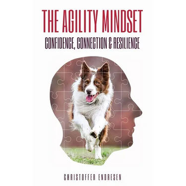 The Agility Mindset
