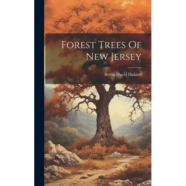 Forest Trees Of New Jersey