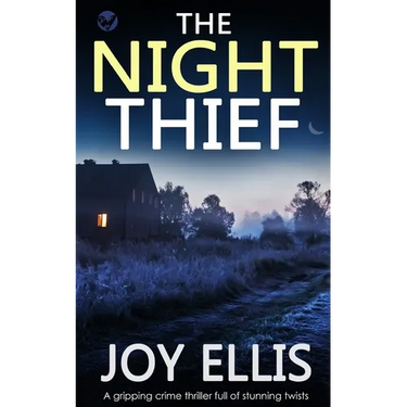THE NIGHT THIEF a gripping crime thriller full of stunning twists