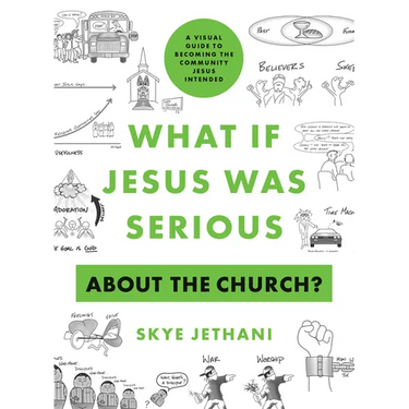What If Jesus Was Serious about the Church?: A Visual Guide to Becoming the Community Jesus Intended