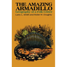 The Amazing Armadillo: Geography of a Folk Critter