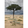 Journey of Trees