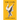 The Coin