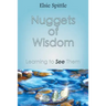 Nuggets of Wisdom: Learning to See Them