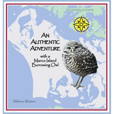 An Authentic Adventure with a Marco Island Burrowing Owl
