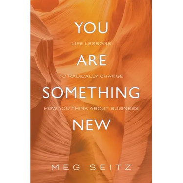 You Are Something New: life lessons to radically change how you show up in business