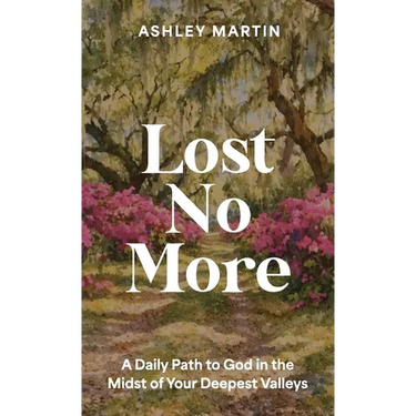 Lost No More: A Daily Path to God in the Midst of Your Deepest Valleys