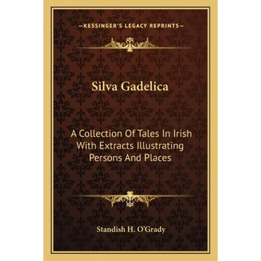 Silva Gadelica: A Collection of Tales in Irish with Extracts Illustrating Persons and Places