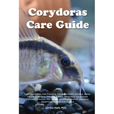 Corydoras Care Guide. Corydoras Catfish Care Featuring: Corydoras Adolfoi, Arcuatus, Metae, Aeneus, Pygmaeus, Paleatus, Rabauti, Melanistius, Leucomel
