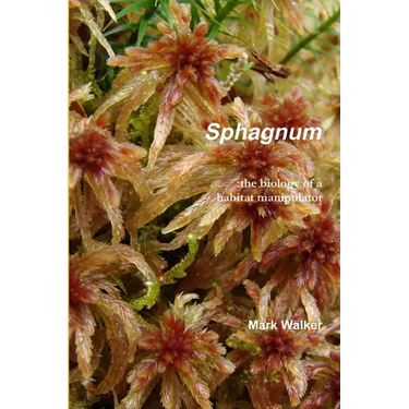 Sphagnum