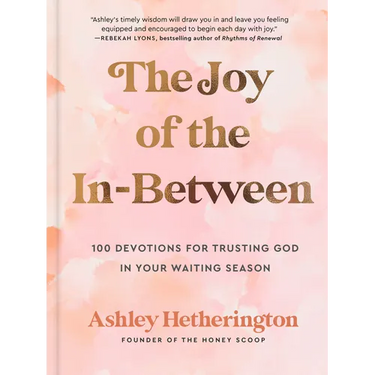 The Joy of the In-Between: 100 Devotions for Trusting God in Your Waiting Season: A Devotional