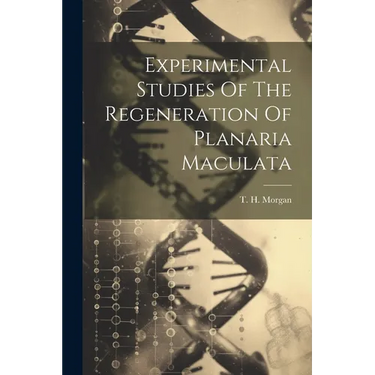 Experimental Studies Of The Regeneration Of Planaria Maculata