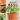 Grow Your Own Basil