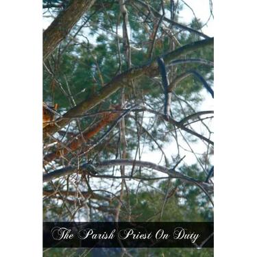 The Parish Priest On Duty: A Practical Manual For Pastors, Curates, And Theological Students Preparing For The Mission