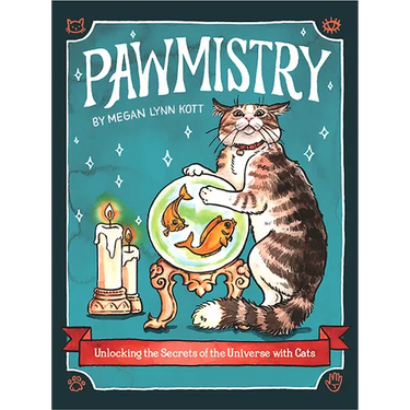 Pawmistry: Unlocking the Secrets of the Universe with Cats
