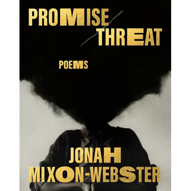 Promise/Threat: Poems