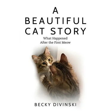 A Beautiful Cat Story: What Happened After the First Meow