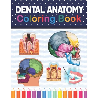 Dental Anatomy Coloring Book: Fun and Easy Adult Coloring Book for Dental Assistants, Dental Students, Dental Hygienists, Dental Therapists, Periodo