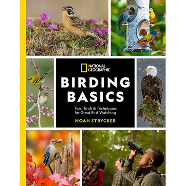 National Geographic Birding Basics: Tips, Tools, and Techniques for Great Bird-Watching