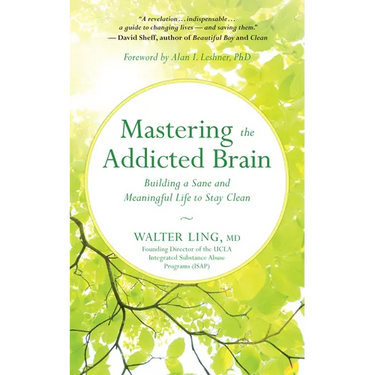 Mastering the Addicted Brain: Building a Sane and Meaningful Life to Stay Clean