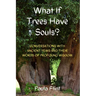 What If Trees Have Souls?: Conversations with Ancient Yews and their words of profound wisdom