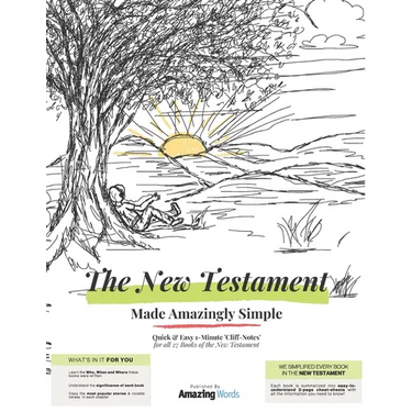 The New Testament: Made Amazingly Simple