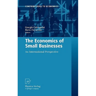 The Economics of Small Businesses: An International Perspective