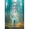 The Light Within Us: A Father's Search for Meaning After Tragedy