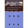 Lactation Mammary Gland