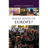 What Kind of Europe?