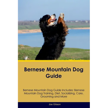 Bernese Mountain Dog Guide Bernese Mountain Dog Guide Includes: Bernese Mountain Dog Training, Diet, Socializing, Care, Grooming, and More