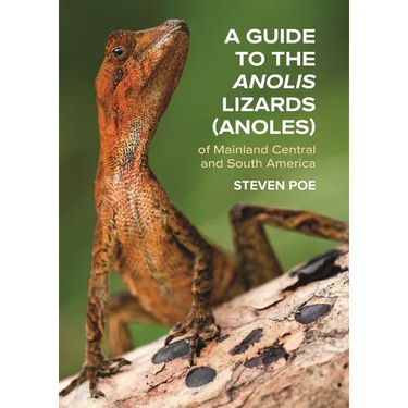 A Guide to the Anolis Lizards (Anoles) of Mainland Central and South America