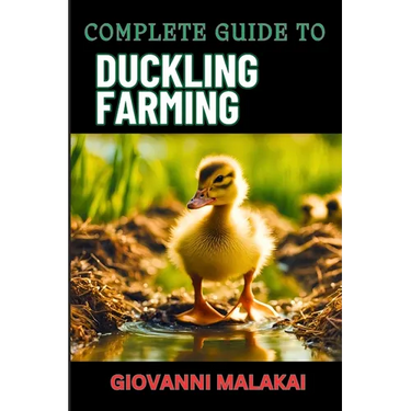 Complete Guide to Duckling Farming: Expert Tips, Sustainable Practices And Efficient Care Techniques On Raising Healthy And Profitable Poultry Animals