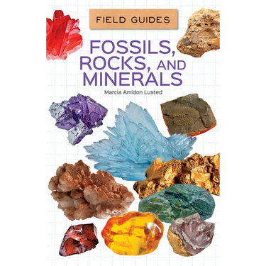 Fossils, Rocks, and Minerals